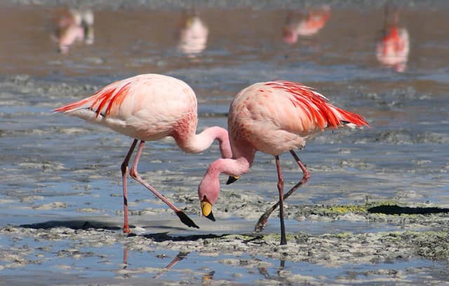 Tanzania Off the Beaten Track – 12 Days