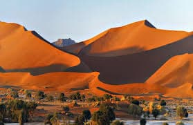 Safari en autotour en Namibie – Aventure entre désert, côte et faune sauvage