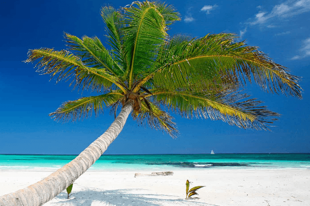 Cancún & Playa MujeresThe 10 best rated All Inclusive Hotel